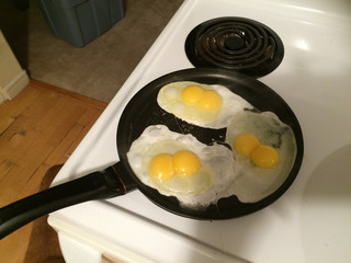 eggs