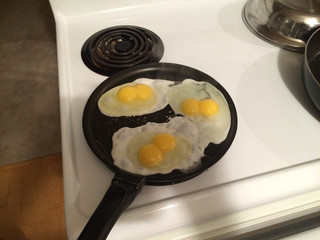 egg