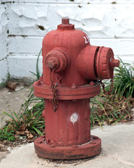 Fototapeta na wymiar Vertical red fire hydrant on concrete with grass