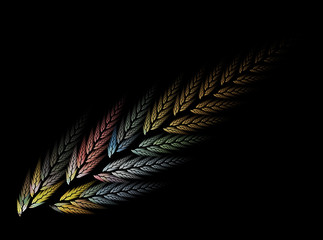 Computer fractal illustration of wheat stalk on a black background