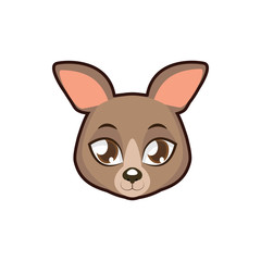Kangaroo portrait illustration