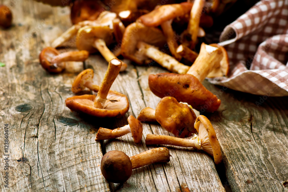 Wall mural honey fungus on an old wooden table