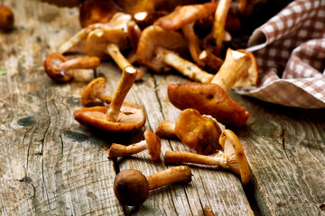  honey fungus  on an old wooden table