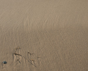 Fototapeta na wymiar Ground texture ripples sand with stone background