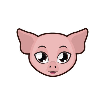 Pig portrait illustration