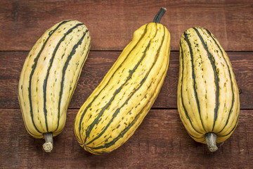delicata winter squash