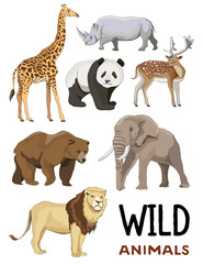 Wild animals set