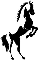 black and white linear paint draw horse illustration © Turaev