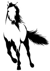 black and white linear paint draw horse illustration © Turaev