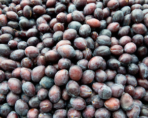 Sweet organic plums in local fresh market store