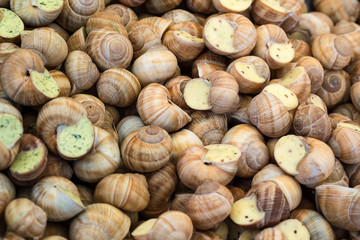 snails background