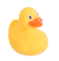 Rubber duck yellow toy for swimming isolated on white