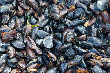 mussels background. street food