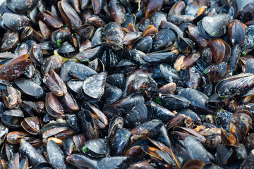mussels background. street food