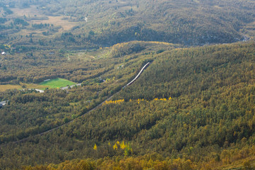 A Train through the forest