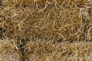 Cluster straw, truss straw - abstract background