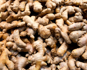 Raw galangal roots in local farmers market store