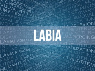 labia