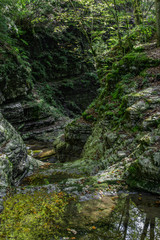 Dry stream bed, Valle del Vescova, Parco Nazionale Dolomiti Bellunesi