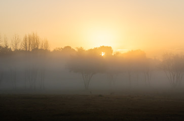 Fototapeta premium Florida Sunrise