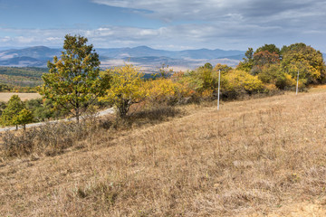 Autumn Landscape with yellow trees of Cherna Gora mountain, Pernik Region, Bulgaria