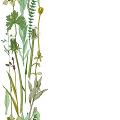 seamless herbal border