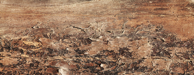 Old rich wood texture background with knots
