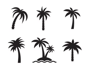 Fotobehang palm icons set © nicknik93759375