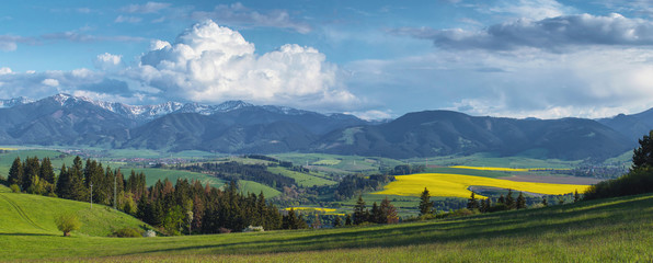 Sunny day on green hills