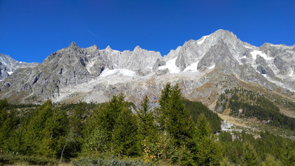 Fototapeta na wymiar Landscape from Val Ferret, in the Mt.Blanc massif, Summit of Gra