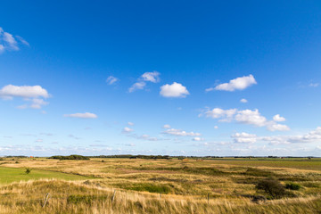 Fototapeta na wymiar Dune landscape on Texel, Netherlands.