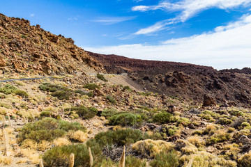 Fototapeta na wymiar Volcanic landscape with erosion and sparse vegetation, Teide National Park. Tenerife, Canary islands, Spain