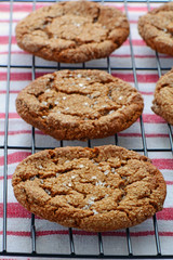 Fresh baked ginger cookies
