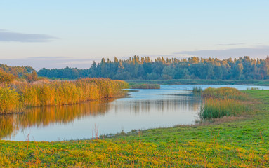 Shore of a lake at sunrise in autumn