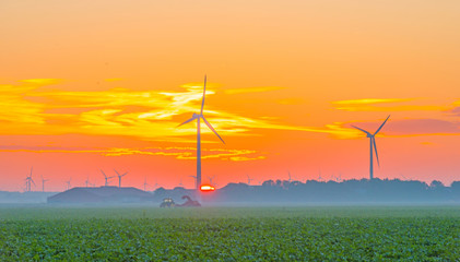 Obraz premium Wind turbines in a field at sunrise