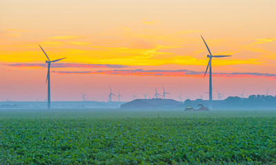 Fototapeta na wymiar Wind turbines in a field at sunrise