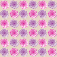 Pretty pink and purple gerber floral illustration