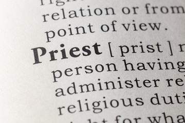 Dictionary definition of priest