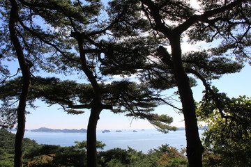 Naklejka premium 松島(双観山より)