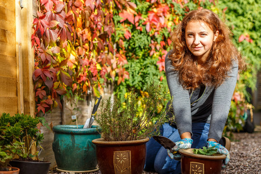 Woman gardening in the autumn