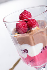 Glass of chocolate and rapsberry dessert