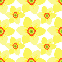 Seamless pattern with daffodils flower macro. 