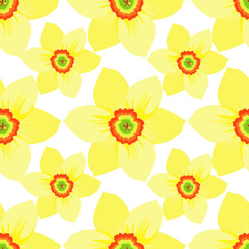 Seamless pattern with daffodils flower macro. 