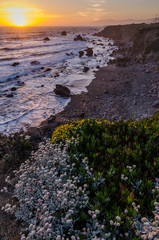 Bodega Bay Coastline