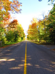 Driving on a sunny day