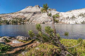 Lake May, Yosemite, CA