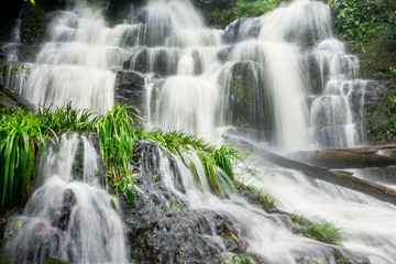 Mun Dang Waterfall in deep forest fresh green rain season in Tha
