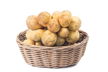 Southern Langsat fruits (Lansium domesticum) in basket isolate on white
