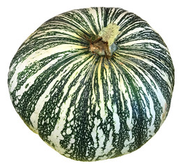 Pumpkin Clip Art