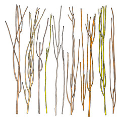 Hand drawn wood twig set, ink design elements collection. Dry wood tree branch and wooden twigs. Ink drawing twigs set. 